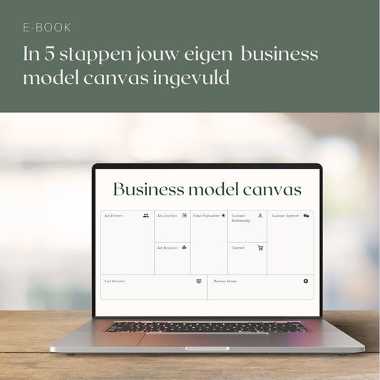 E-book: In 5 stappen jouw eigen  business model canvas ingevuld